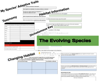 Preview of Evolving Species PBP