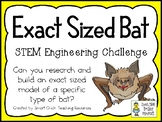 Exact Sized Bat - STEM Engineering Challenge