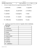 Examen Sílaba tónica , acentuación y clasificar en agudas,