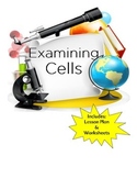 Cells Lesson | Includes Plan and Worksheets
