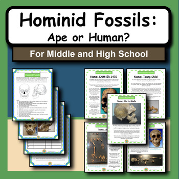 Preview of Examining Hominid Fossils and Evolution: Ape or Human Activity for Science Class