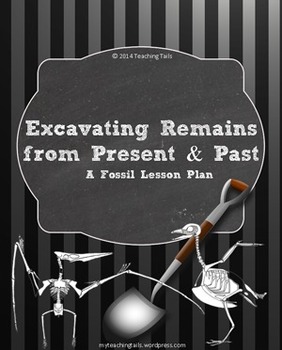 Preview of Excavating Remains: Fossil Lesson Plan