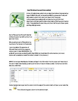 Preview of Excel Intermediate Practice