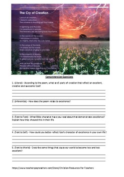 Preview of Excellence - Poetry Reading Comprehension Worksheet