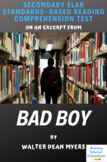 Excerpt from Bad Boy Multiple-Choice Reading Comprehension