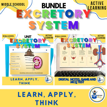 Preview of Urinary system - bundle to teach excretory system organs and functions