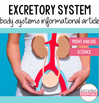 Preview of Excretory System Informational Article: Body Systems Series