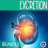 Excretory System Activities Bundle