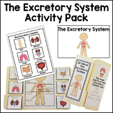 Excretory System Activity Pack Bundle Human Body Activitie