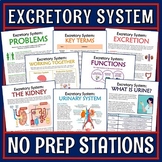 Excretory System Activity Urinary System Stations PRINT an