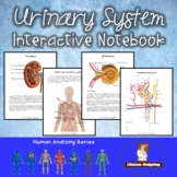 Urinary System Interactive Notebook