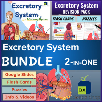 Preview of Excretory System (Kidneys, Lungs & Skin) & Urinary System BUNDLE