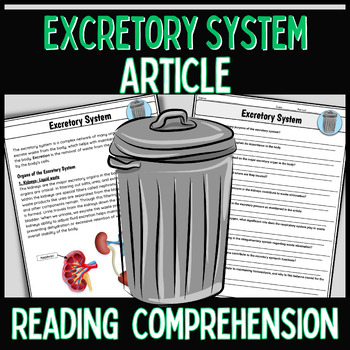 Preview of Excretory System Reading Comprehension Questions