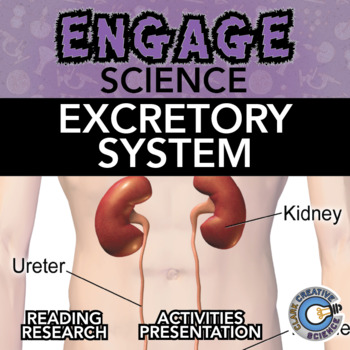 Preview of Excretory System Resources - Reading, Printable Activities, Notes & Slides
