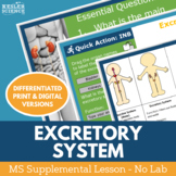 Excretory System - Supplemental Lesson - No Lab