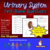 Urinary System Test Questions