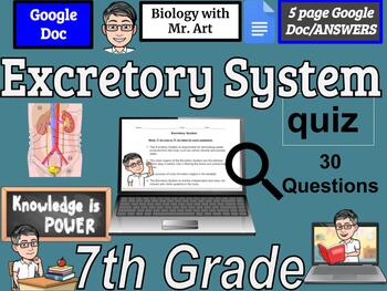 Preview of Excretory System quiz- 7th Grade - 30 True/False Questions with Answers