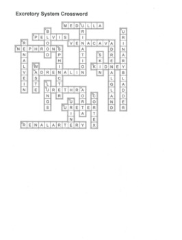 Excretory / Urinary System Crossword Puzzle by BC Science Guy TpT