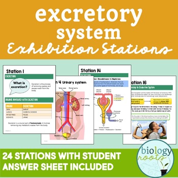 Preview of Excretory System Exhibition Stations