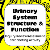 Excretory / Urinary System Structure Function Card Sort Hi