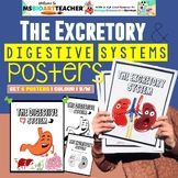 Excretory and Digestive Systems Poster and Colouring pages