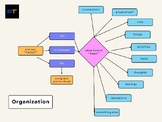Executive Function - Organization Flowchart Visual