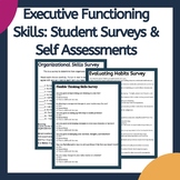 Executive Function Skills: Student Surveys & Self Assessme
