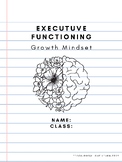 Executive Functioning: Growth V.S. Fixed Mindset Reflectio