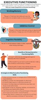 Preview of Executive Functioning Infographic