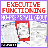 Executive Functioning Small Group Plan With No-Prep Lesson