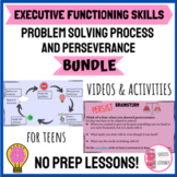 Executive Functioning Skills Problem Solving & Perseveranc