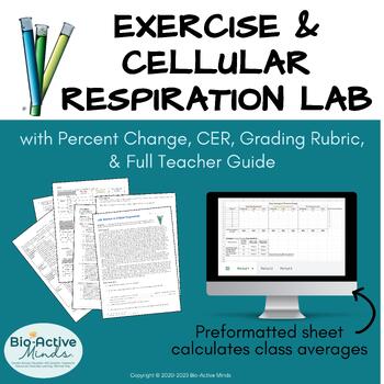 Preview of Exercise & Cellular Respiration LAB for Biology with CER, Rubric & Teacher Guide