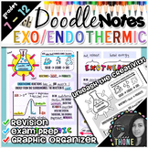 Exothermic & Endothermic Reactions Doodle Notes