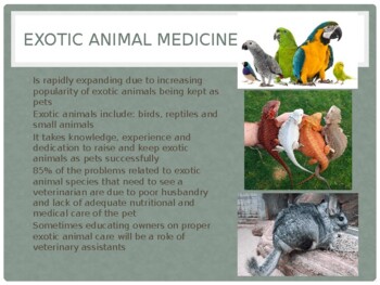 Exotic Animal Care for Veterinary Assistants Lecture | TPT