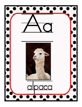 Exotic Animal Vowel Set by Sasha's Creations | Teachers Pay Teachers