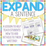 Expand-A-Sentence Activity to Help with Adding Details to 