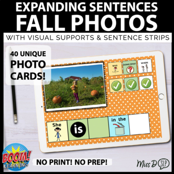 Preview of Expanding Sentences WH Questions Sentence Formulation w Real Photos BOOM CARDS™