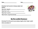 Expanding Sentences Worksheets | Teachers Pay Teachers