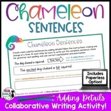Expanding Sentences with Descriptive Details | Elaboration