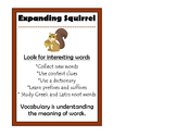 Expanding Squirrel Beanie Baby Strategy Poster
