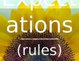 Expectations (Rules) Editable Sunflower Theme