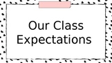 Expectations and Procedures (Student and Teacher Actions) 