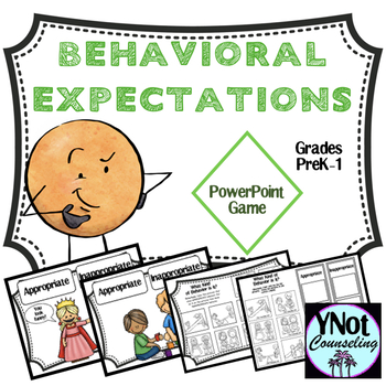 Preview of Social Skills: Behavior Expectations Lesson  