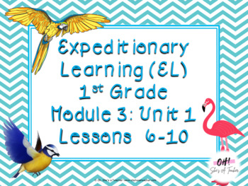 Preview of Expeditionary Learning (EL) First Grade Module 3: Unit 1: Lessons 6-10 PPTS