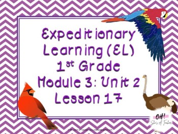 Preview of Expeditionary Learning (EL) First Grade Module 3: Unit 2: Lesson 17 PowerPoint