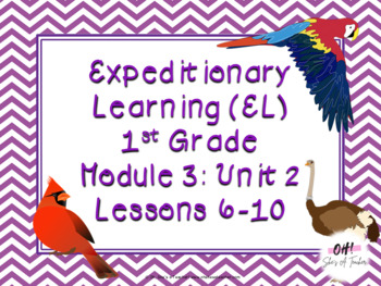 Preview of Expeditionary Learning (EL) First Grade Module 3: Unit 2: Lessons 6-10 PPTS