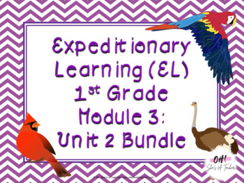 Preview of Expeditionary Learning (EL) First Grade Module 3: Unit 2 Powerpoints Bundle