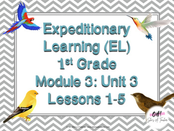 Preview of Expeditionary Learning (EL) First Grade Module 3: Unit 3: Lessons 1-5 PPTS