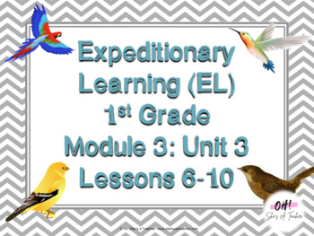 Preview of Expeditionary Learning (EL) First Grade Module 3: Unit 3: Lessons 6-10 PPTS