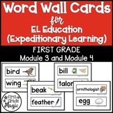 Expeditionary Learning Word Wall Cards Module 3 and 4 First Grade